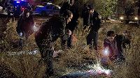 Criminal Minds Suspect Behavior